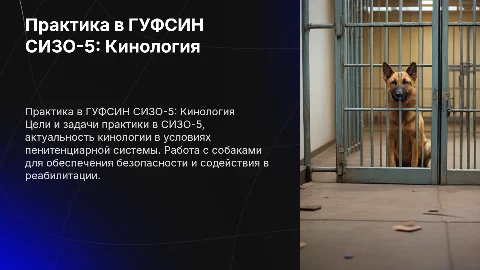 Практика в ГУФСИН СИЗО-5: цели и задачи кинологии