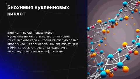 Биохимический молекулярный уровень. Нуклеиновые кислоты