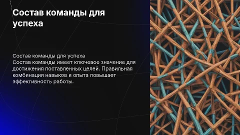 СОСТАВ КОМАНДЫ