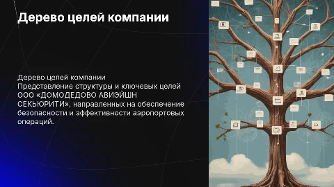 дерево целей ООО «ДОМОДЕДОВО АВИЭЙШН СЕКЬЮРИТИ»
