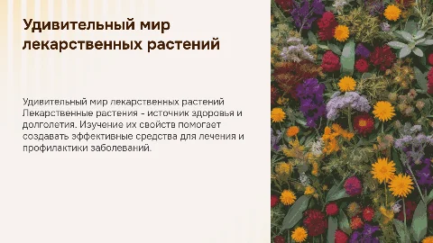 Лекарственные растения, яркие слайды, простые слова