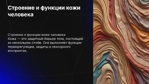 Наружные покровы тела. Строение и функции кожи