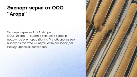 ООО "Агора". Экспорт зерна и продуктов его переработки