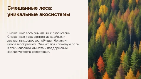смешанные леса