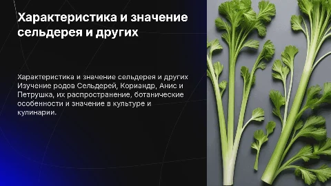 Характеристика и значение родов Сельдерей, Кориандр, Анис, Петрушка