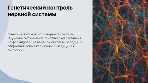 генетический контроль нервной системы зародыша