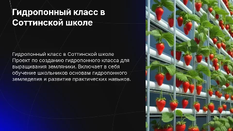 Создание гидропонного класса и выращивание земляники в школе
