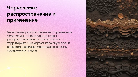 Черноземы, их распространение, характеристика, использование