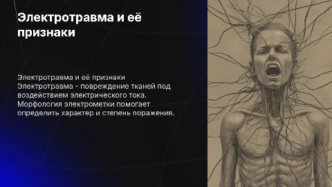 Электротравма. Морфология электрометки