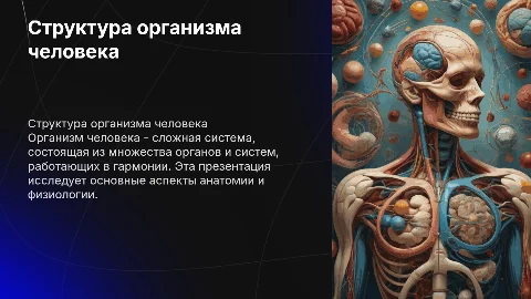 Организм человека