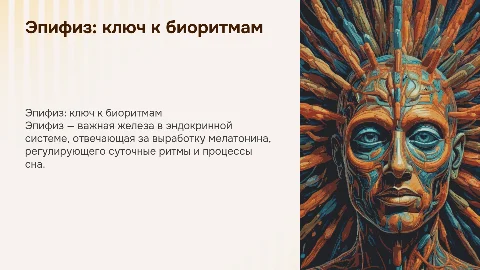 Эпифиз