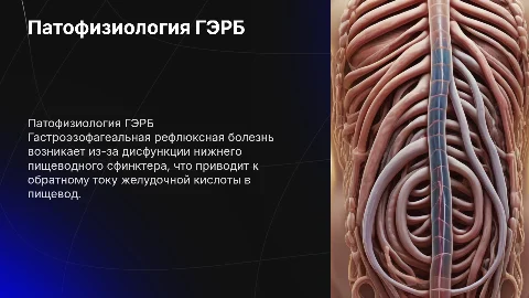 Патофизиология гастроэзофагеальной рефлюксной болезни