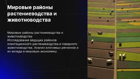 Ведущие районы плантационного растениеводства и животноводства