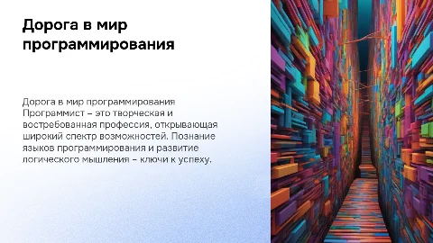 Дорога в свет профессий, "Программист"