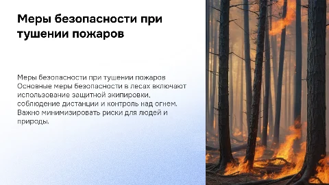 Меры пожарной безопасности при тушении лесных пожаров