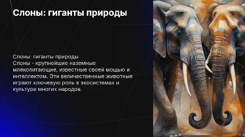 слоны