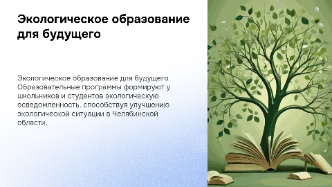 Образовательные программы для школьников и студентов Челябинска
