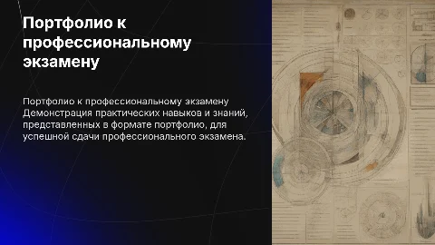 Портфолио к практическому этапу профессионального экзамена