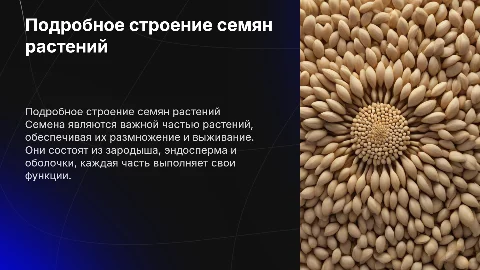 подробное строение семян