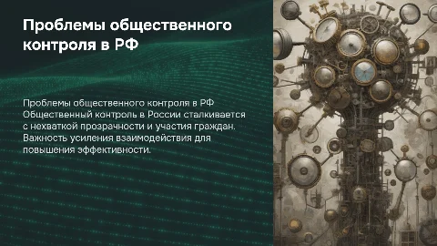 проблемы организации общественного контроля в современной россии