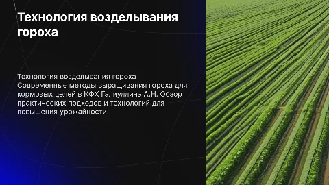 Современная технология возделывания гороха для кормовых целей
