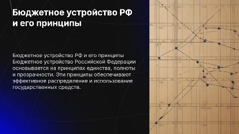 бюджетное устройство РФ и его принципы