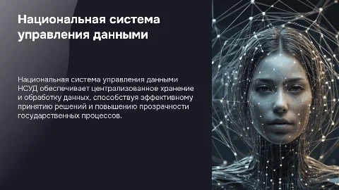 Национальная система управления данными (НСУД)
