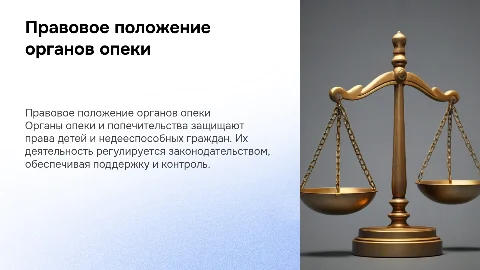 Правовое положение органов опеки и попечительства