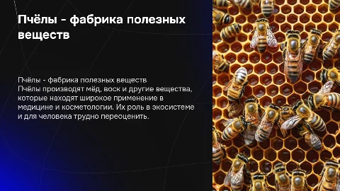 Пчёлы - фабрика полезных веществ