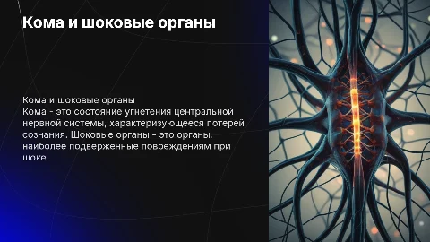 Кома, общая характеристика. Понятие о шоковых органах