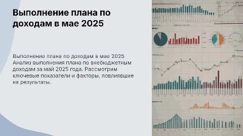 Выполнение плана по внебюджетным доходам в мае 2025