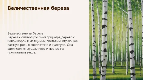 Береза