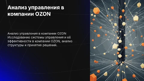 Анализ системы управления сферой на примере компании OZON
