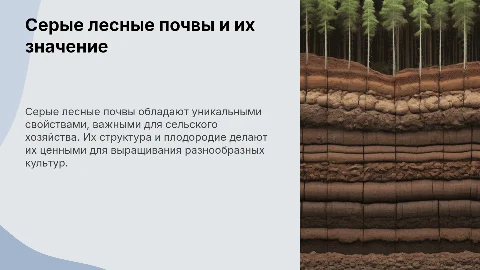 Серые лесные почвы: свойства и сельскохозяйственное использование