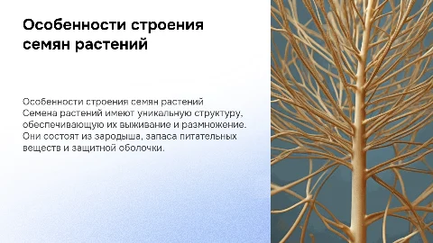 Особенности строения семян