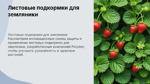 Схема защиты и применения листовых подкормок для земляники