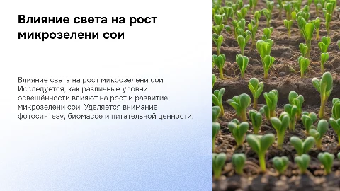 Влияние освещённости на рост микрозелени сои