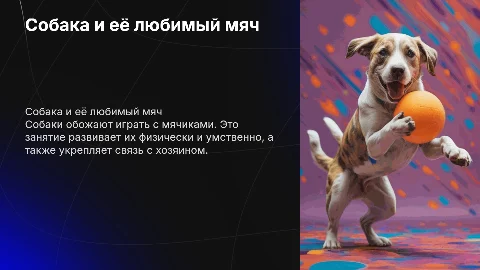 собака держит мяч