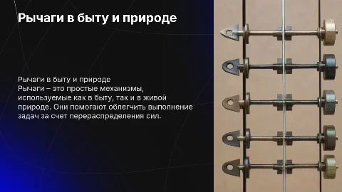 Презентация о рычагах в быту и живой природе