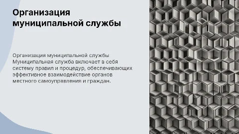 Организация и порядок прохождения муниципальной службы