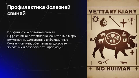 Ветеринарно-санитарные мероприятия по профилактике свиней