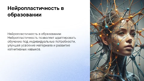 нейропластичность в образовании