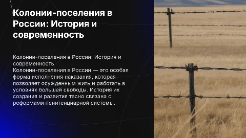 Колония-поселение в России