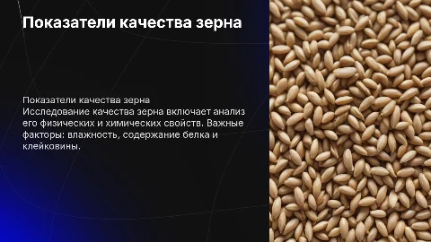 Показатели качества зерна