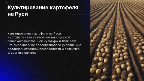 Культирование картофеля на руси