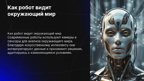 Как робот видет окружающий мир