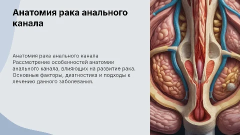 анатомия рака анального канала