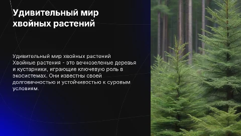 Хвойные растения