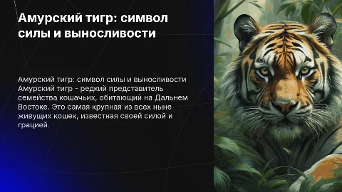 Амурский тигр