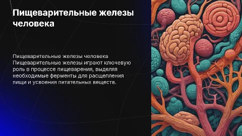 Пищеварительные железы